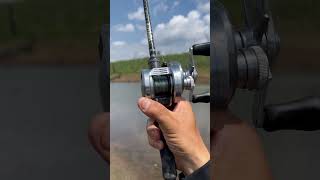 Shimano Calcutta Conquest DC 200 DC Brake Sounds  EPS01 [upl. by Nenney]