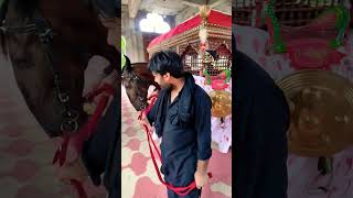 1st safar shaam zuljinahbadshah viralvideo islam religion shia live [upl. by Ecilahc]