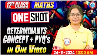 Class 12 Maths Determinants One Shot  12th Maths Imp Concept amp PYQs By RWA [upl. by Ennoved422]