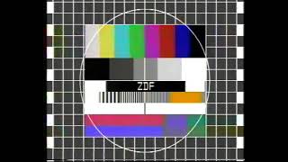 ARD NDR  ZDF Testbild mit DisneyclubFragment 1991 [upl. by Kere]