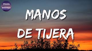 Camilo  Manos de Tijera Letra [upl. by Adnar]