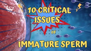 Immature Sperm What You Need to Know [upl. by Trumaine]