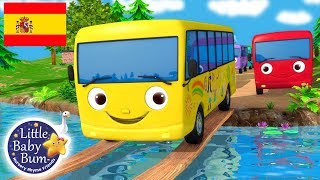 Canciones Infantiles  Diez Autobuses  ¡Y más Dibujos Animados  Little Baby Bum en Español [upl. by Yorker399]