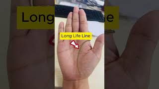 A Lifetime of Wellbeing Palmistry PalmReading [upl. by Ainesell]