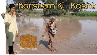 Barseem Ki Kasht Kar Di [upl. by Adriell]