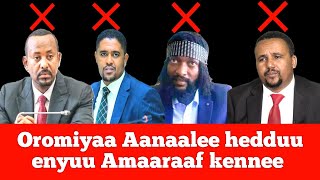 iccitii Oromiyaa Aanaalee hedduu enyuu Amaaraaf kennee  Moha Oromo [upl. by Hammad]