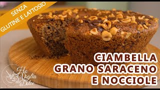 CIAMBELLA AL GRANO SARACENO NOCCIOLE E CIOCCOLATO senza glutine e latte ricetta HO VOGLIA DI DOLCE [upl. by Cayla]