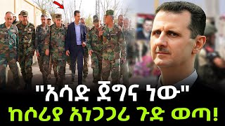 Syria  ሶሪያ ሌላ ማአት ወረደባት ተረክ ሚዛን Salon Terek [upl. by Kilk65]