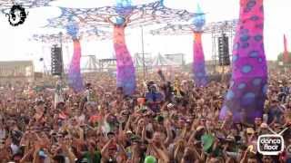 dancefloor Tv MARIO BIANI  ELROW STAGE MONEGROS DESERT FESTIVAL 2013 ELROW SHOW [upl. by Direj]