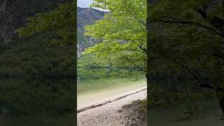 Bohinjsko jezero  Ukanc relaxing zen slovenia bohinj lake travel [upl. by Doane]