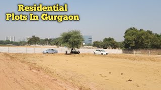 Plots in Gurgaon Sector 59 Delhi NCR [upl. by Macdermot253]