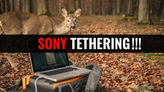 SONY TETHERING  mit der a7 direkt in Lightroom fotografieren [upl. by Ylro]