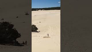 Look Both Ways Before Starting to Sandboard  Moreton Island in Australia [upl. by Ahsieyn]