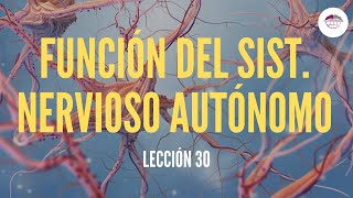 30 FUNCIÓN SISTEMA NERVIOSO AUTÓNOMO FISIOLOGÍA DEL SISTEMA NERVIOSO [upl. by Fast]