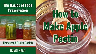 How to Make Homemade Apple Pectin  How to Extract Pectin from Apples  Make Your Own Pectin [upl. by Nnil]