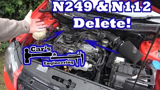 Time To Delete The N249 and N112 Polo 9n3 GTI [upl. by Purpura841]