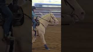 This little cowgirl is a world champion in the making rodeo cowgirl western wrangler [upl. by Colombi]