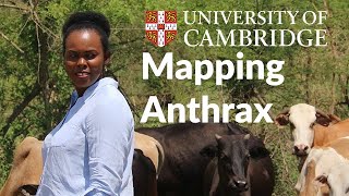 Cambridge Imagines Mapping Anthrax Outbreaks [upl. by Annamaria]