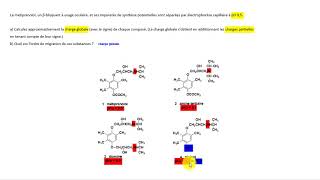 Électrophorèse capillaire  Exercice 1 [upl. by Ydnes214]