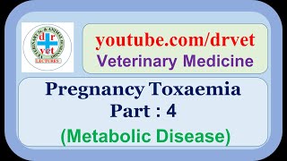 Pregnancy Toxaemia Part 4 [upl. by Handy]