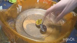 Beyblade Metal Master Hades Kerbecks Vs Gravity Perseus Hiper Strike Stadium [upl. by Nauqas]