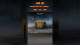 Day 43 of opening a case every day until I get one csgo caseopening cs2caseopening csgoclips [upl. by Sclar945]