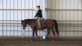 Posting The Trot  5 Minute Horse Lessons [upl. by Omari]