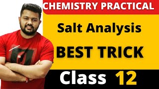 Class 12 Chemistry Practicals  Best Trick for Salt Analysis 01  Analysis of Acidic Radicals [upl. by Maller]