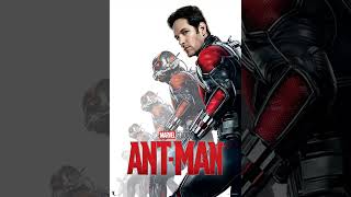 Ant Man 2015 Movie Review [upl. by Meil]