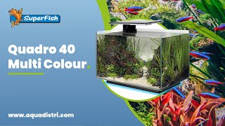 SuperFish  Quadro 40 Multi Colour [upl. by Sibylla966]