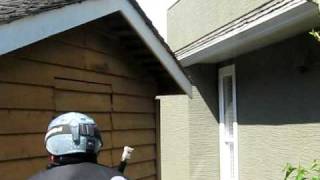 How not to kill a Wasp nest [upl. by Uol]