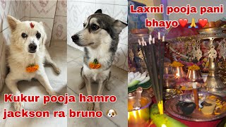 Yo barsha maile kukur pooja ra laxmi pooja yesari manaiyo 😀🙏 kukurpooja laxmipooja tiharvlog2081 [upl. by Menides153]