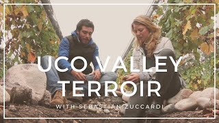 The soils amp terroir of Uco Valley with Sebastian Zuccardi [upl. by Nabatse431]