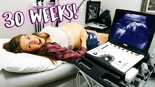 30 Weeks Pregnancy Ultrasound  Baby Is Almost Here [upl. by Illona990]