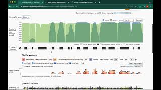 gnomAD tutorial [upl. by Comras398]