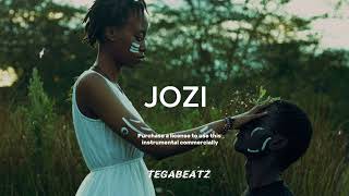 FREE Davido x Afrobeat Type Beat quotJoziquot [upl. by Oikim]