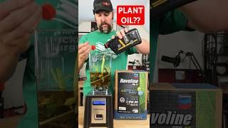 Plant Based Engine Oil engineoil oilchange havoline [upl. by Witte]