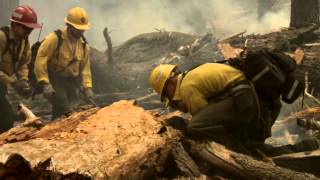 DOI Wildland Fire Veteran Recruitment [upl. by Pandich]