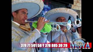 LA POLLERA COLORADA CUMBIA MARIACHI MOYA [upl. by Harman]