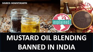 Mustard Oil Blending prohibited by FSSAI Dropsy epidemic Argemone mexicana weed Benefit to farmer [upl. by Nemrak]