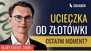 Co dalej z PLN Debiut Żabki zawiódł Jaka spółka pod dywidendę 3 okazje i co dalej z CCJ [upl. by Mitchiner]