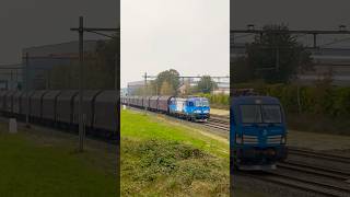 Nieuwe CD Cargo Vectron 383 013 “Jan Perner” met een NymbrukCDC Staaltrein in Nederland [upl. by Dustman]