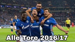 FC Schalke 04  Alle Tore 201617 ᴴᴰ [upl. by Celio]