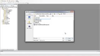 SQL Server Installing a database using a sql file [upl. by Lizbeth]