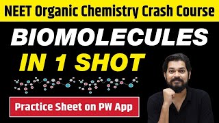 BIOMOLECULES in One Shot  All Concepts Tricks amp PYQs  Class 12  NEET [upl. by Ynafetse]