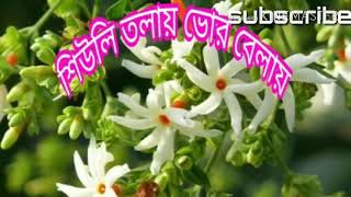 Mix Shiuli tolay bhor belay [upl. by Nrojb]