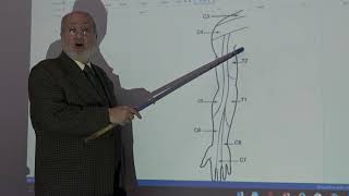 Anatomy of upper limb 62  Dermatomes amp myotomes   by Dr Wahdan [upl. by Linus]