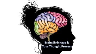 Brain Shrinkage amp Your Thought Process [upl. by Naujd]