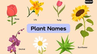 plants name in English  plants vocabulary  Learn English [upl. by Eneluqcaj]