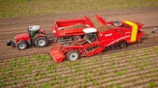 GRIMME Multitrailer 350 amp VARITRON 470 TERRA TRAC  selfpropelled Potato Harvester [upl. by Dorr135]